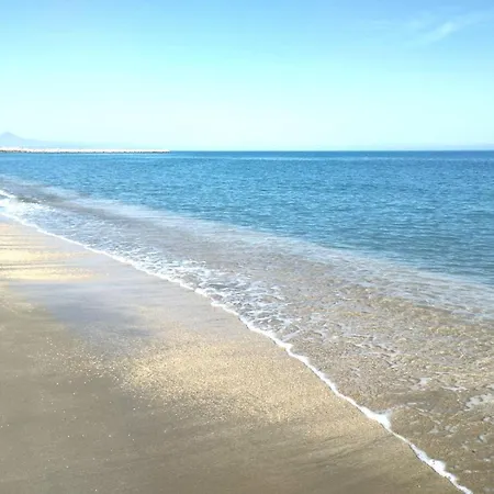 En El Paraiso Del Verger * El Verger