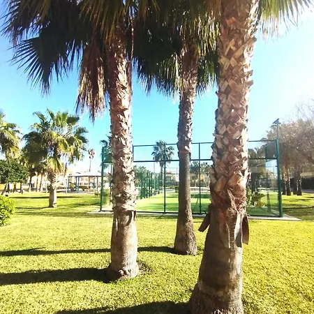 En El Paraiso Del Verger El Verger
